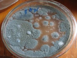 _contaminant02Al_Cabar_640x480.jpg