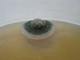 _contaminant09Al_Cabar_640x480.jpg