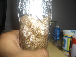 HPIM3968.JPG