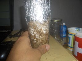 HPIM3969.JPG