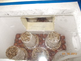 DSCN0734.JPG
