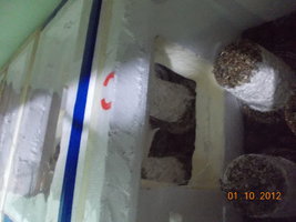 DSCN0741.JPG