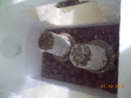 DSCN0744.JPG