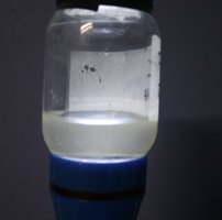 CL 02.jpg