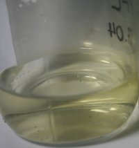 CL 03.jpg