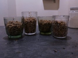 IMG_20121002_223626.jpg
