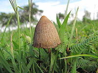 105454-103108.jpg