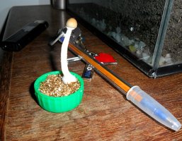 micro casing 1.JPG