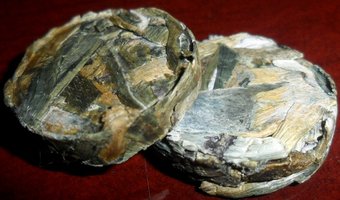 PASTILHA 2.JPG