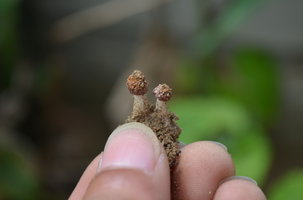 DSC_0253.JPG