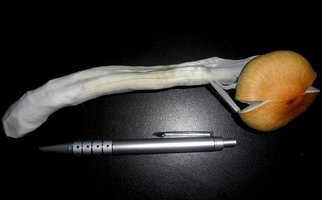 gigante 4.JPG