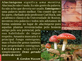 amanita.jpg