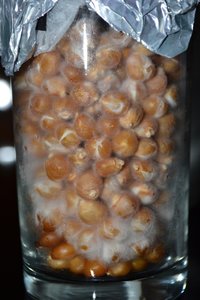 DSC_2744.jpg