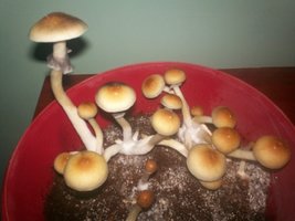 100_3140.JPG