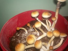 100_3146.JPG