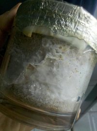 pote3.2.JPG