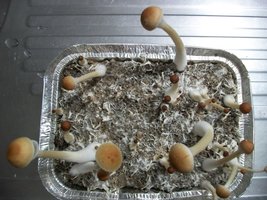 100_5456.jpg
