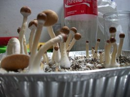 100_5461.jpg
