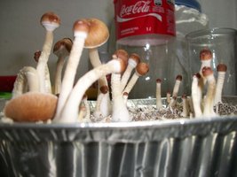 100_5462.jpg