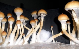 3.JPG