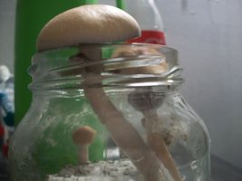 100_5655.jpg