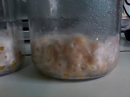 IMG_20121211_103428.jpg