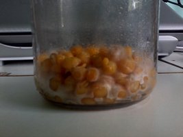 IMG_20121211_103524.jpg
