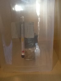 2012-12-22 13.07.35.jpg