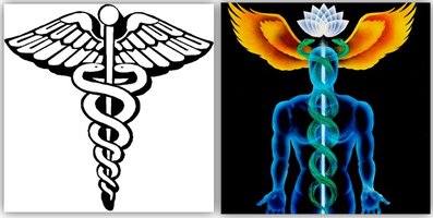 Caduceus-kundalini.jpg