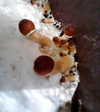IMG00049.jpg