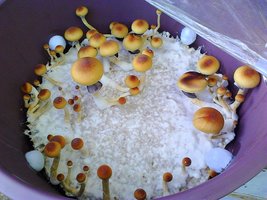 IMG00057.jpg