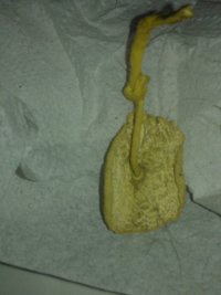 WP_000367.jpg