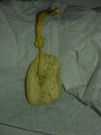 WP_000369.jpg