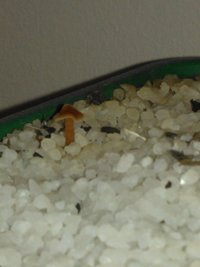 WP_000415.jpg