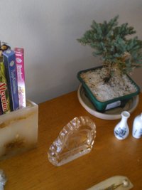 WP_000417.jpg