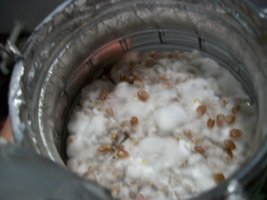 100_5294.jpg