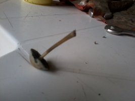 2013-01-11 13.42.30.jpg