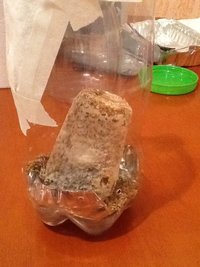 2013-01-11 23.04.25.jpg