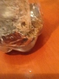 2013-01-11 23.04.32.jpg