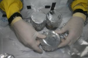 inoculacao 008.jpg