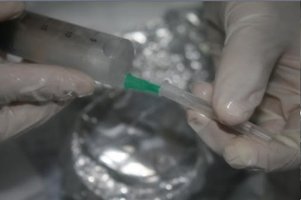 inoculacao 009.jpg