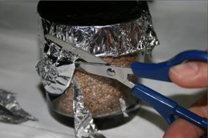 inoculacao 010.jpg