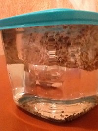 2013-01-14 20.31.46.jpg