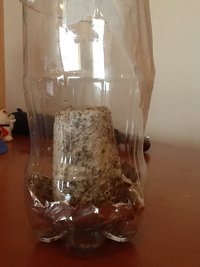 2013-01-15 08.28.41.jpg