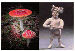 artigo01.gif