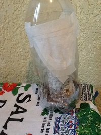 2013-01-17 19.45.46.jpg