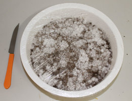 transkei-casing.jpg