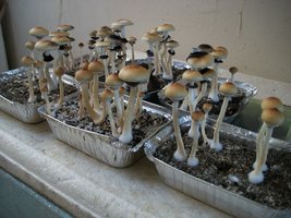 100_5728.jpg