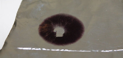 print-3.jpg