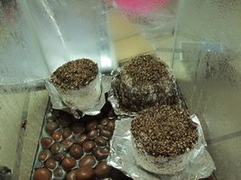 IMG_8392_845x634.jpg